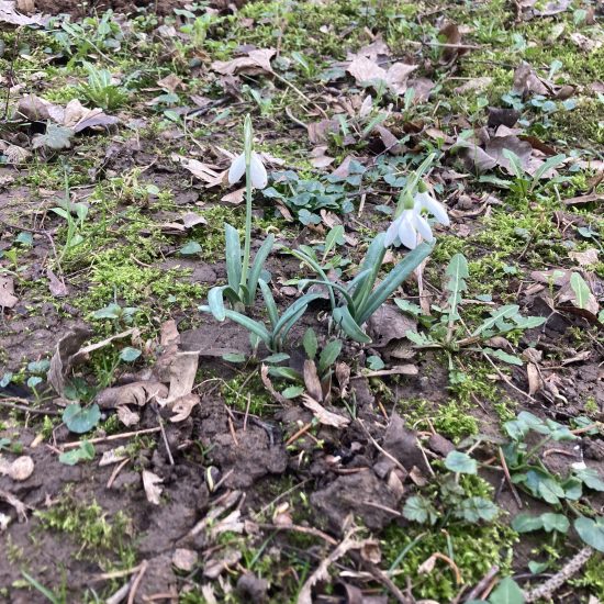 20240216_135621237_iOS