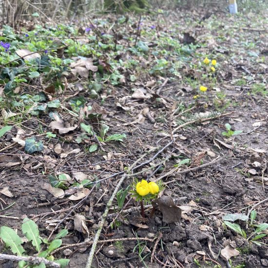 20240216_135639732_iOS