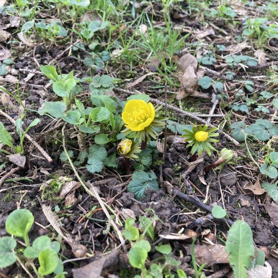 20240216_135655011_iOS