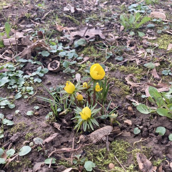 20240223_105441224_iOS