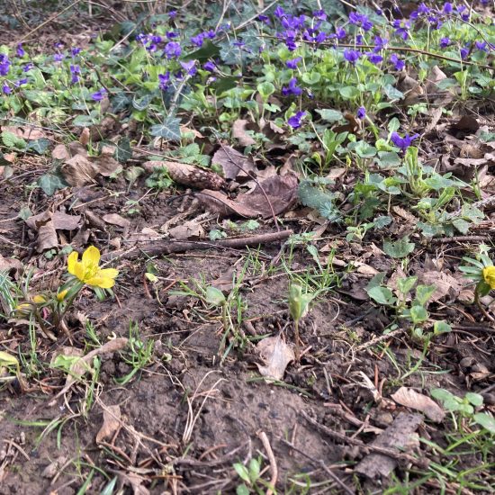 20240223_105716198_iOS