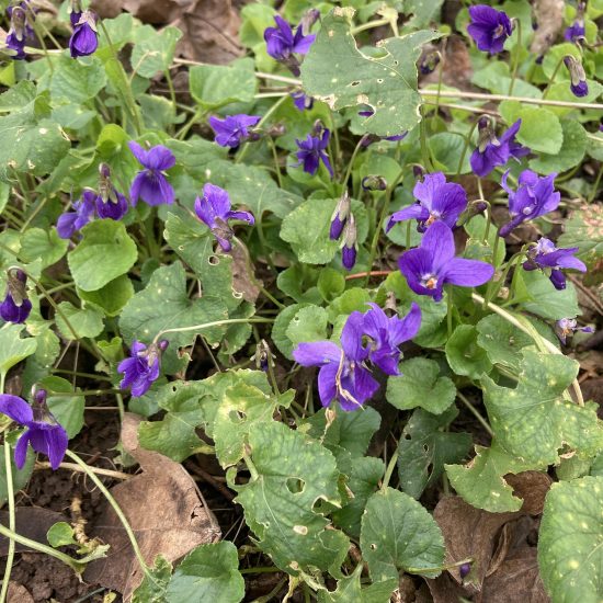 20240223_110312858_iOS