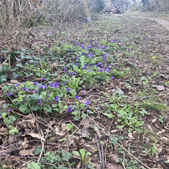 20240223_112123217_iOS