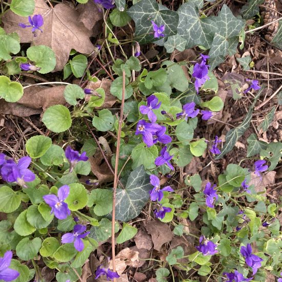 20240223_113155079_iOS