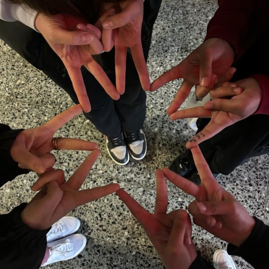 WhatsApp Image 2024-03-13 at 17.43.32