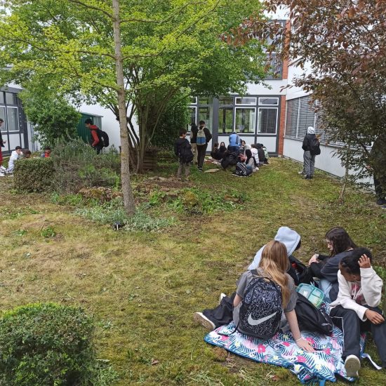 98cbeb49-6303-4533-8d33-428e0c1949b7