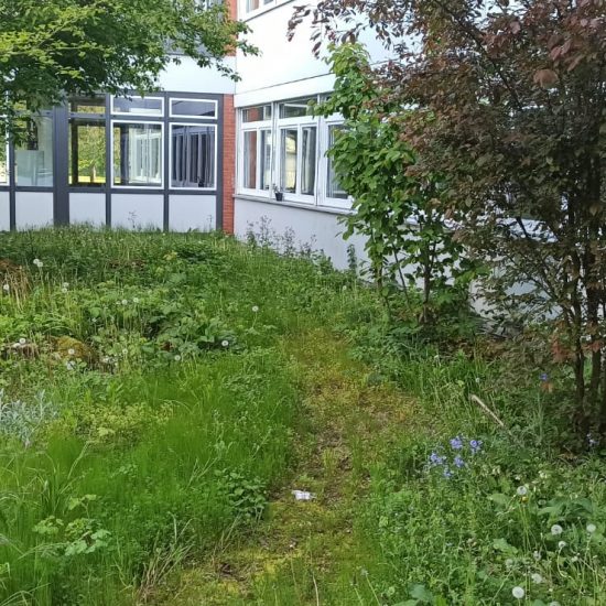 d2f62f59-b57d-4ae2-87ad-52dea3f93853