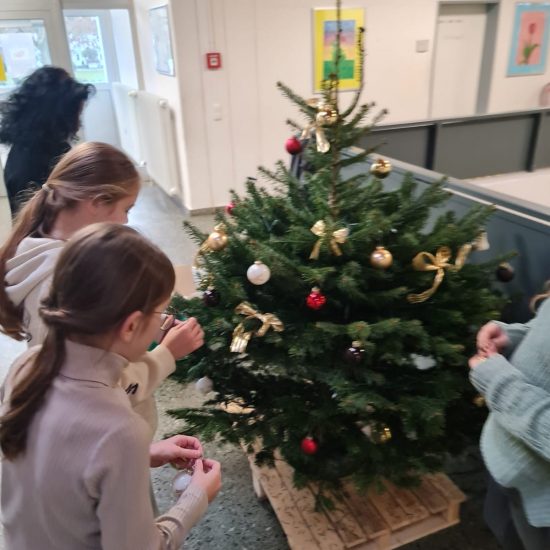 1c6b3162-0d8c-4b1b-b599-1afb343607d1