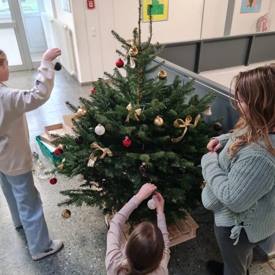 991519b9-6061-4417-9c20-62e7b173728b