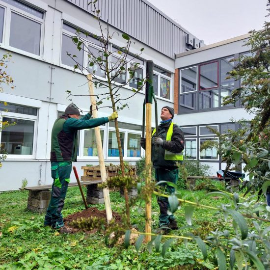 Baumspende_Odenwaeller_HBS-BRK-1