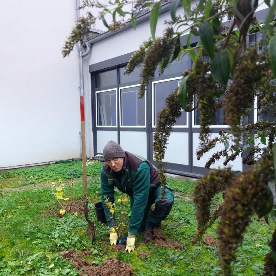 Baumspende_Odenwaeller_HBS-BRK-2