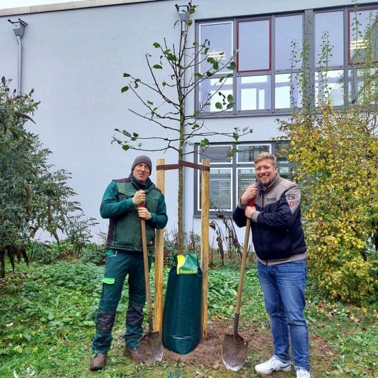 Baumspende_Odenwaeller_HBS-BRK-4