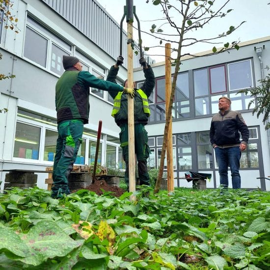 Baumspende_Odenwaeller_HBS-BRK-5