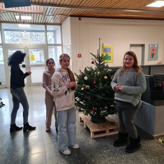 fb17b13f-3899-4b57-86d2-74b47c85d638