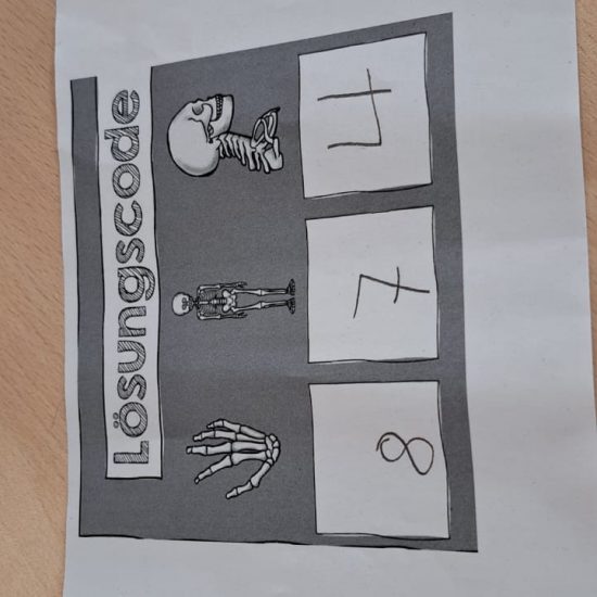 image12 image12