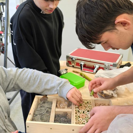 IMG-20250925-WA0028 IMG-20250925-WA0028