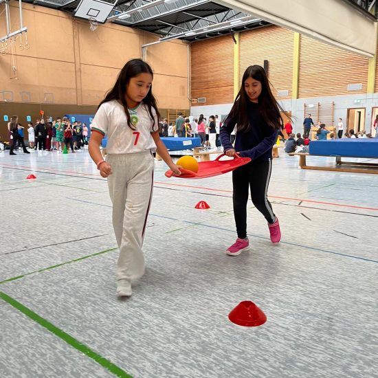 IMG-20251031-WA0009 IMG-20251031-WA0009