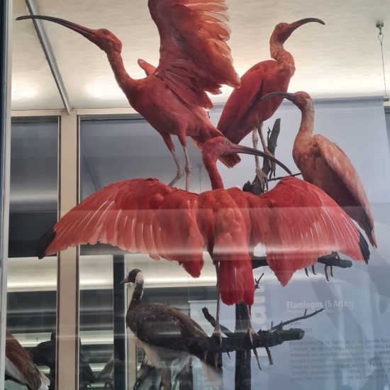 6cca6056-48ee-47cc-9536-fe7a06f81136