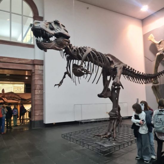 6cfaf010-6e96-4c84-ba42-c458eb19ab11