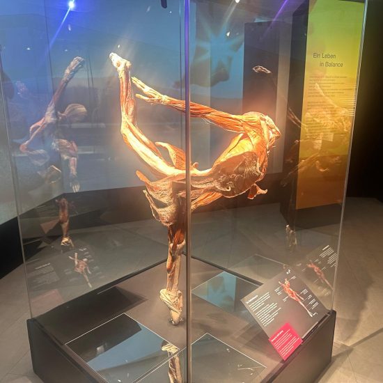 WhatsApp Bild 2025-11-04 um 11.39.57_2293919b