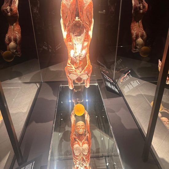 WhatsApp Bild 2025-11-04 um 11.39.57_9017de4f