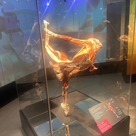 WhatsApp Bild 2025-11-04 um 11.39.57_c0f4ab25