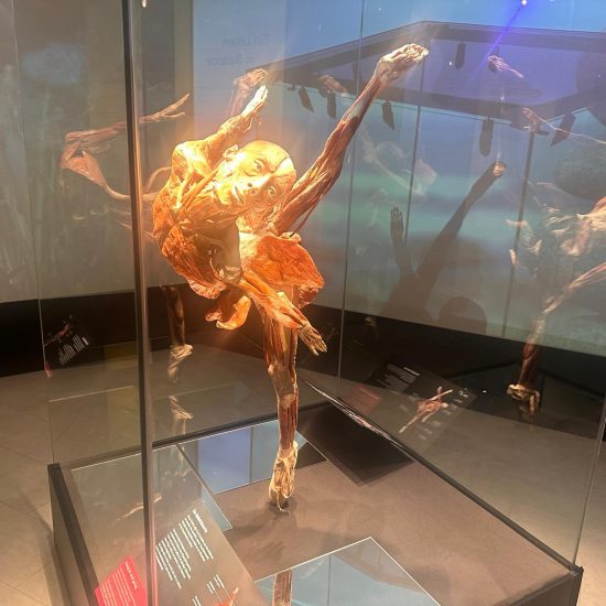 WhatsApp Bild 2025-11-04 um 11.39.57_efe294f2