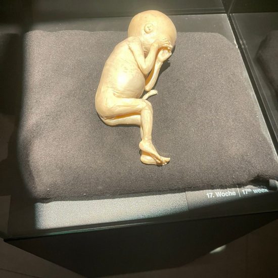 WhatsApp Bild 2025-11-04 um 11.42.11_836103e4