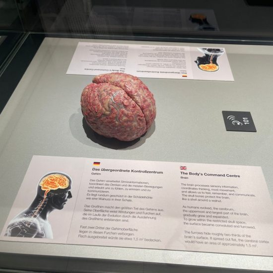 WhatsApp Bild 2025-11-04 um 11.42.12_2b472005