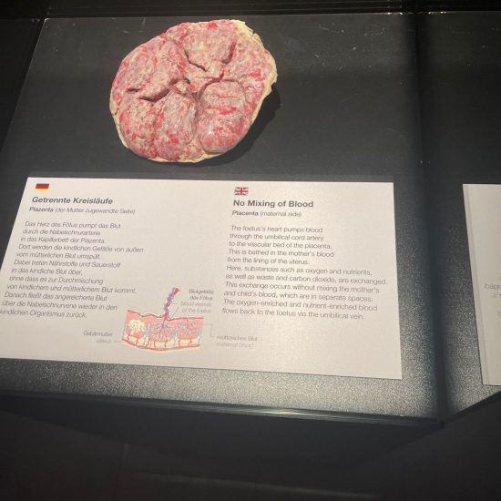 WhatsApp Bild 2025-11-04 um 11.42.12_59087ea8