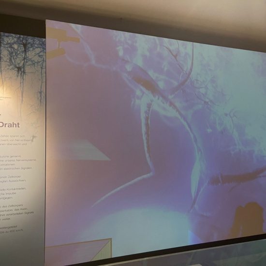 WhatsApp Bild 2025-11-04 um 11.42.12_bf3fef35