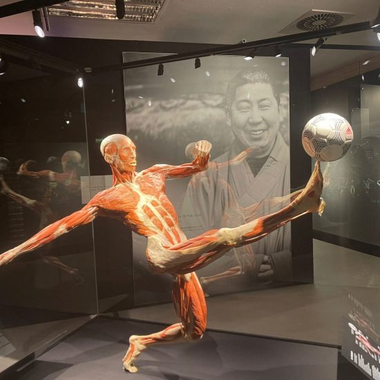 WhatsApp Bild 2025-11-04 um 11.42.13_3b7d3230