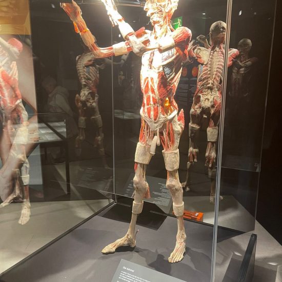 WhatsApp Bild 2025-11-04 um 11.42.13_56f739f2