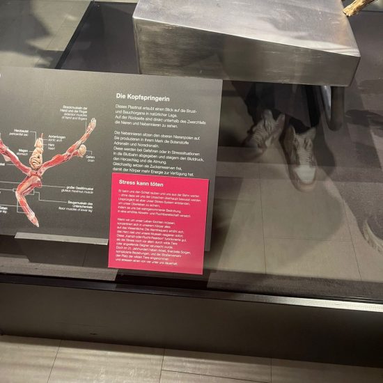 WhatsApp Bild 2025-11-04 um 11.42.13_bd43ad7f