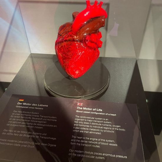 WhatsApp Bild 2025-11-04 um 11.42.13_f18cf9ac