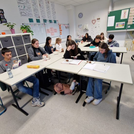 WhatsApp Image 2025-11-20 at 17.26.19 (7)