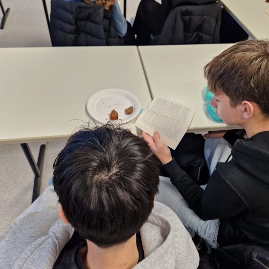 WhatsApp Image 2025-11-20 at 17.26.20 (1)