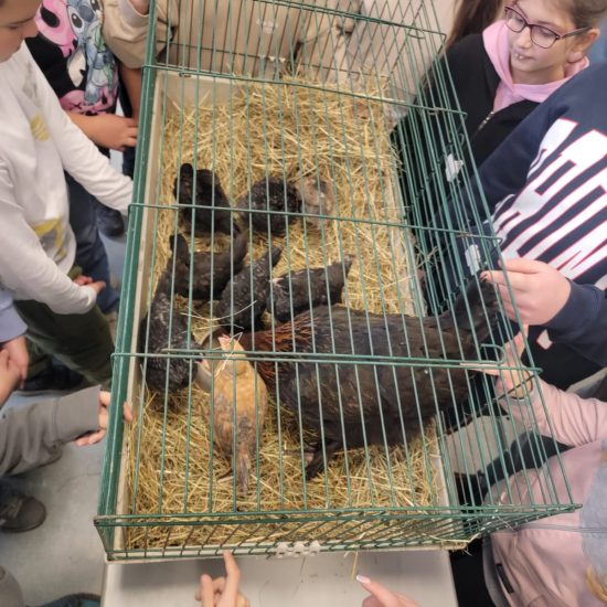 WhatsApp Image 2025-12-05 at 09.36.44 (1)