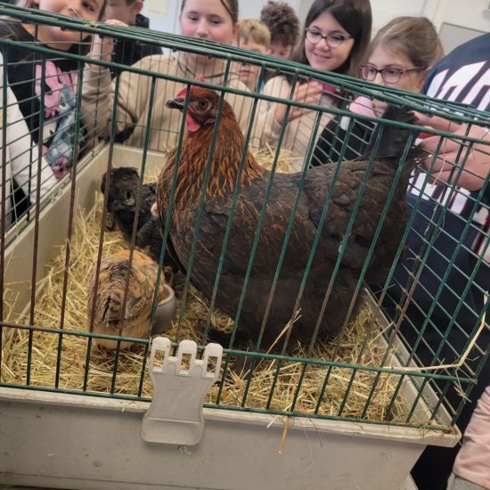 WhatsApp Image 2025-12-05 at 09.36.44 (2)