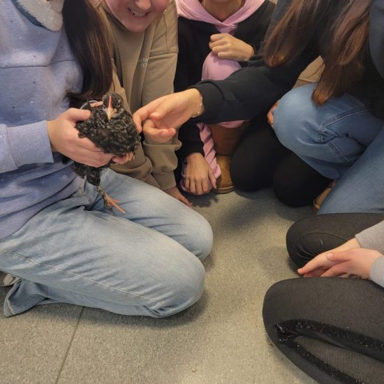 WhatsApp Image 2025-12-05 at 09.36.44 (3)