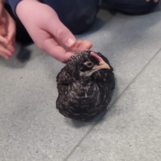 WhatsApp Image 2025-12-05 at 09.36.44 (4)