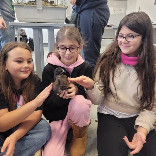 WhatsApp Image 2025-12-05 at 09.36.44 (5)