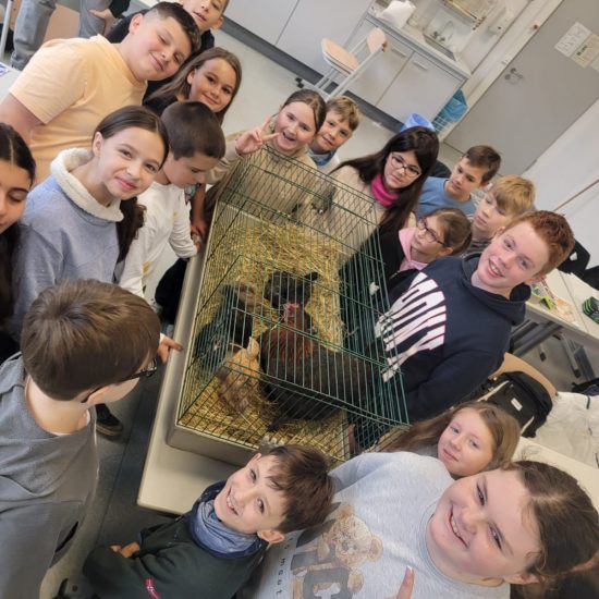 WhatsApp Image 2025-12-05 at 09.36.44