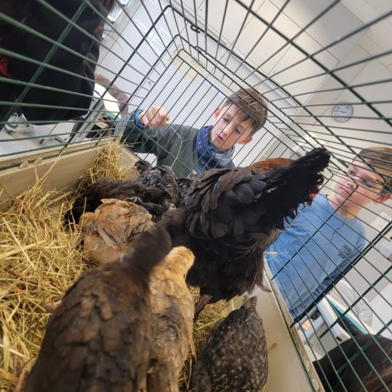 WhatsApp Image 2025-12-05 at 09.36.45 (1)