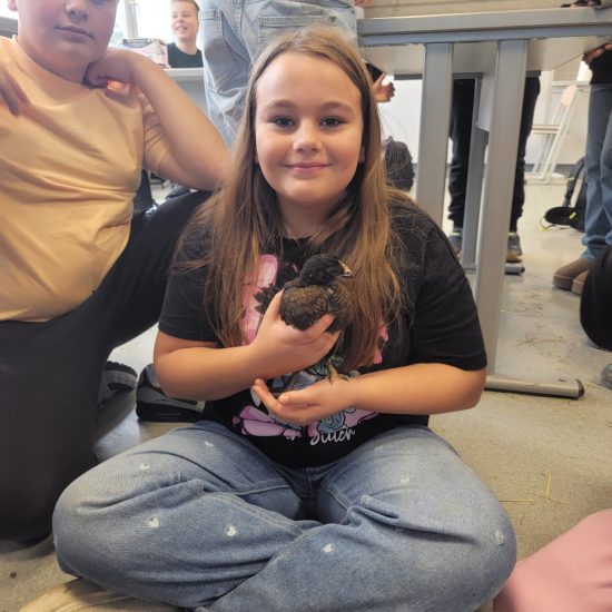 WhatsApp Image 2025-12-05 at 09.36.45