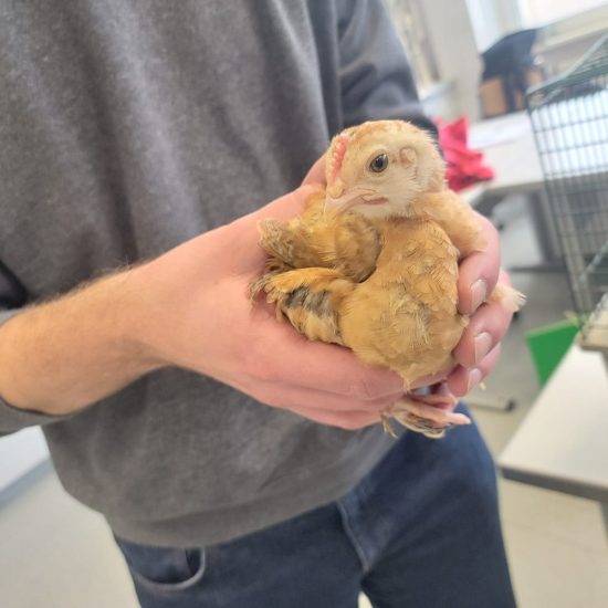 WhatsApp Image 2025-12-05 at 09.36.45 (6)