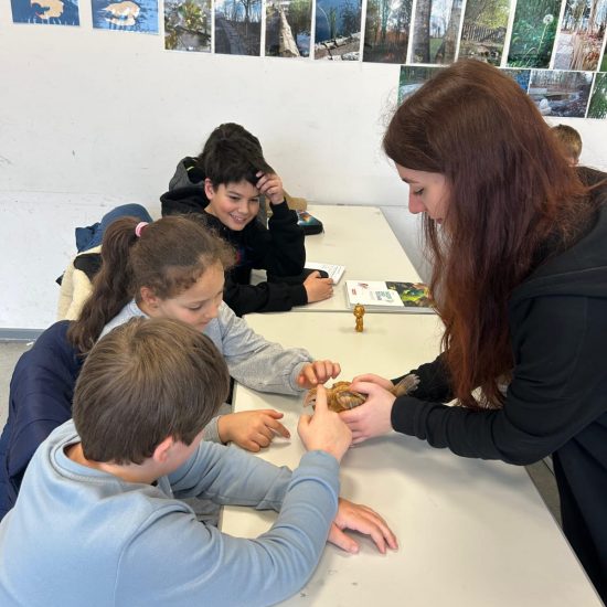 WhatsApp Image 2025-12-05 at 09.36.46 (3)