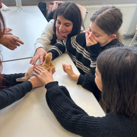 WhatsApp Image 2025-12-05 at 09.36.46 (4)