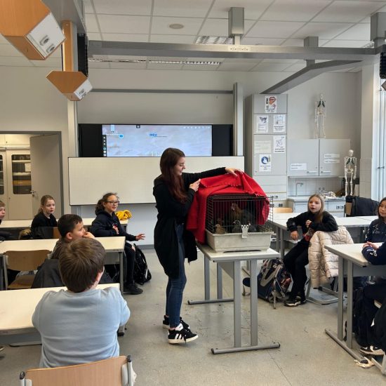 WhatsApp Image 2025-12-05 at 09.36.46