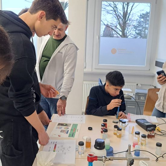 WhatsApp Image 2025-12-11 at 15.56.20 (2)